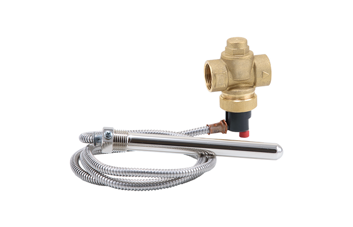 Temperature safety relief valve 1